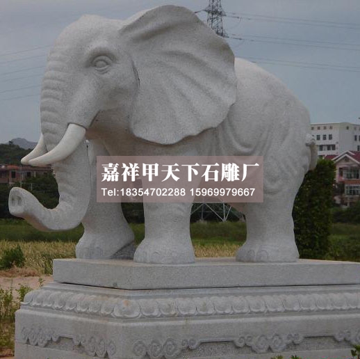 石雕大象图集(图7)