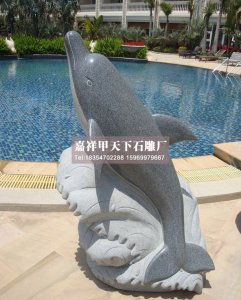 石雕海豚