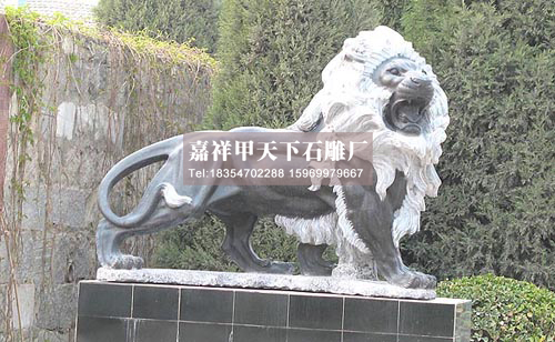 石雕狮子简介(图3) 石雕狮子简介(图3)